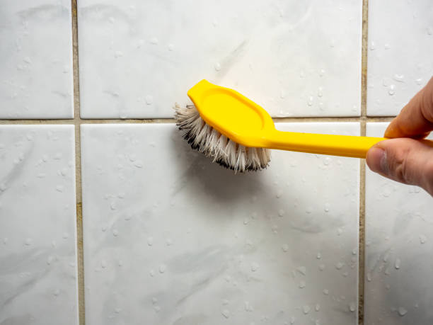 Best Mold Remediation for Specific Building Types in Moses Lake, WA