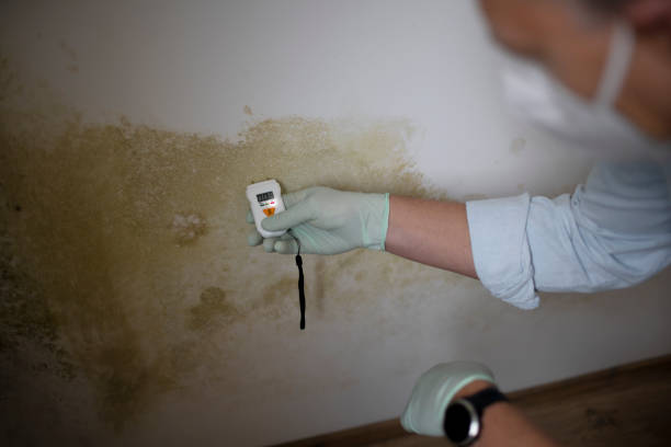 Health and Safety Mold Remediation