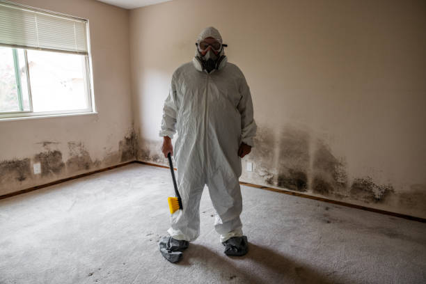 Trusted Moses Lake, WA Mold Remediation Experts